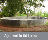 The impact of agro-wells on livelihoods in Sri Lanka