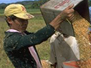 IFAD and the poverty reduction strategies process in Asia