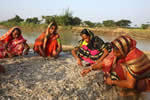 Members of the Sunamganj Community-Based Resource Management Project sorting dried fish