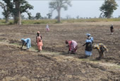 Visite sur le terrain: les fermes villageoises modernes offrent une alternative à l’exode rural