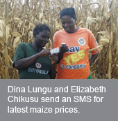 ZAMBIA: Trading commodities via SMS