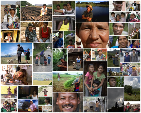 Capturar el ‘Estado de los Pequeños Productores Agrícolas’ en América Latina