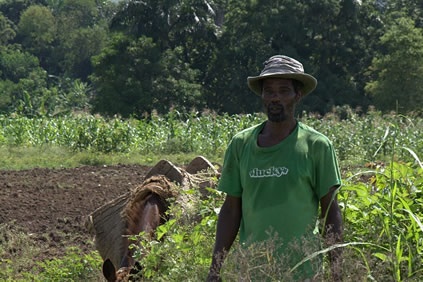 Enfoque en Haití: Concluye proyecto PICV-II, arranca proyecto de irrigación y empleo 