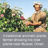 Boosting the production and exportation of aromatic and medicinal plants 