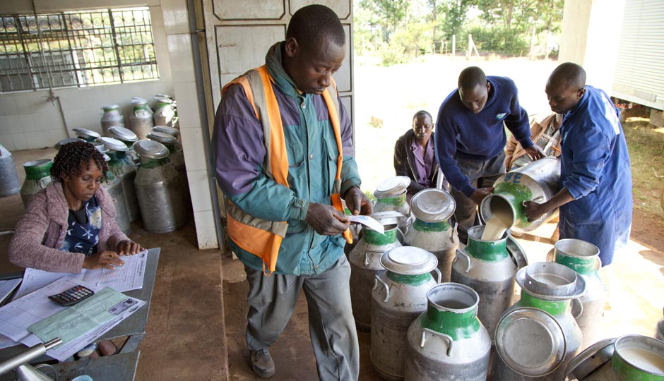 Members of the IFAD-supported Musalia dairy group collect milk from farmers, control quality and weigh milk and then sell it in bulk to the Brookside Dairy company in Kitali, Rift valley, Kenya. ©IFAD/Susan Beccio