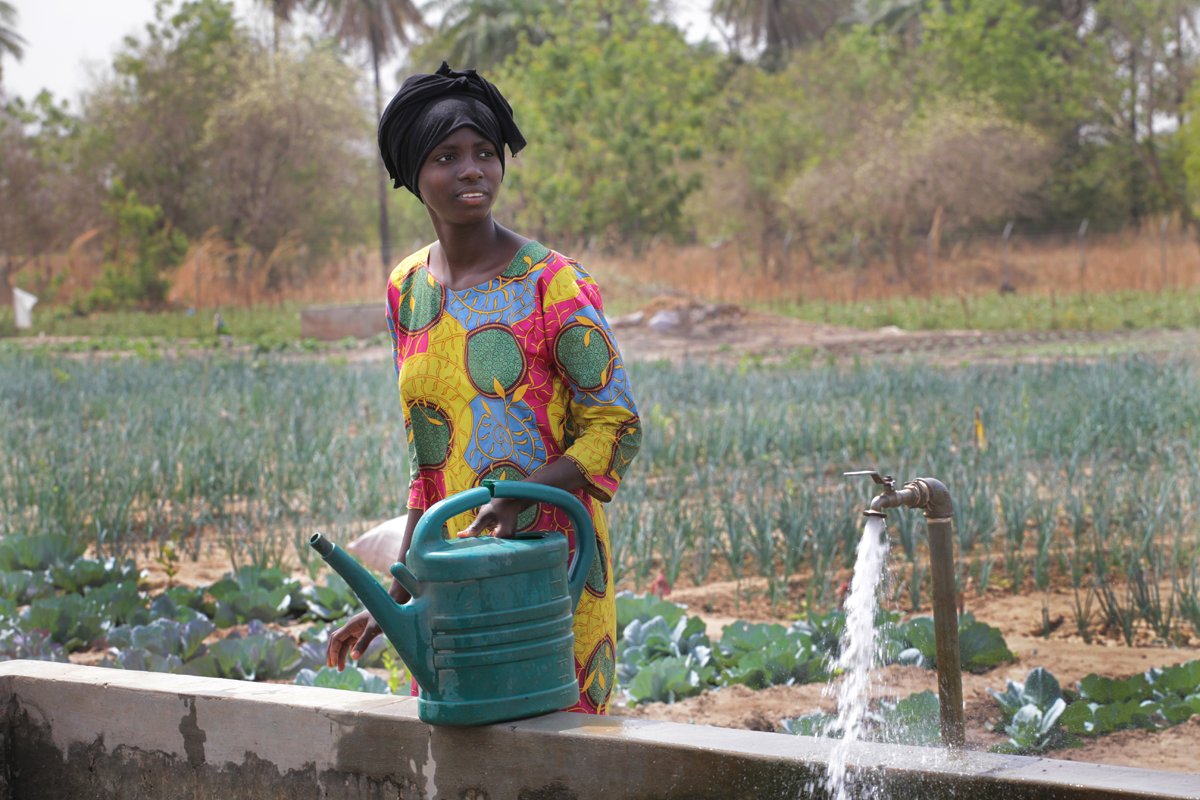 Community gardens in the Gambia