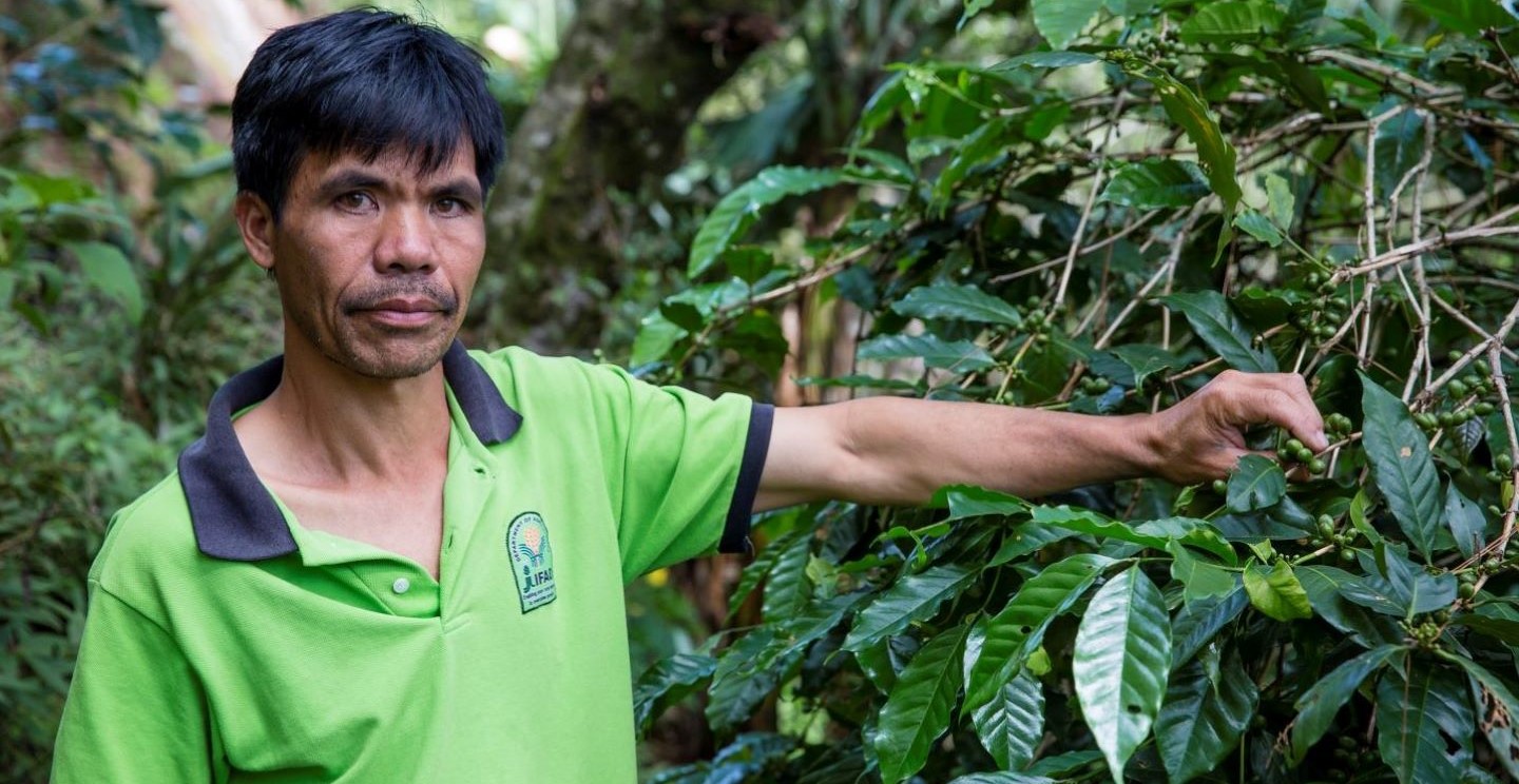 Indigenous Peoples are protecting biodiversity, one harvest at a time