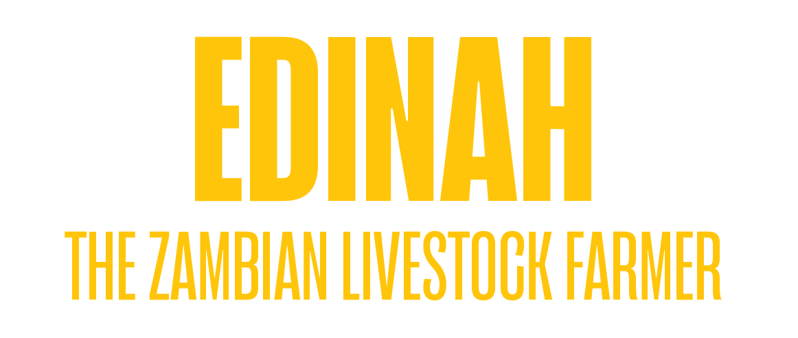 Edinah, the Zambian livestock farmer