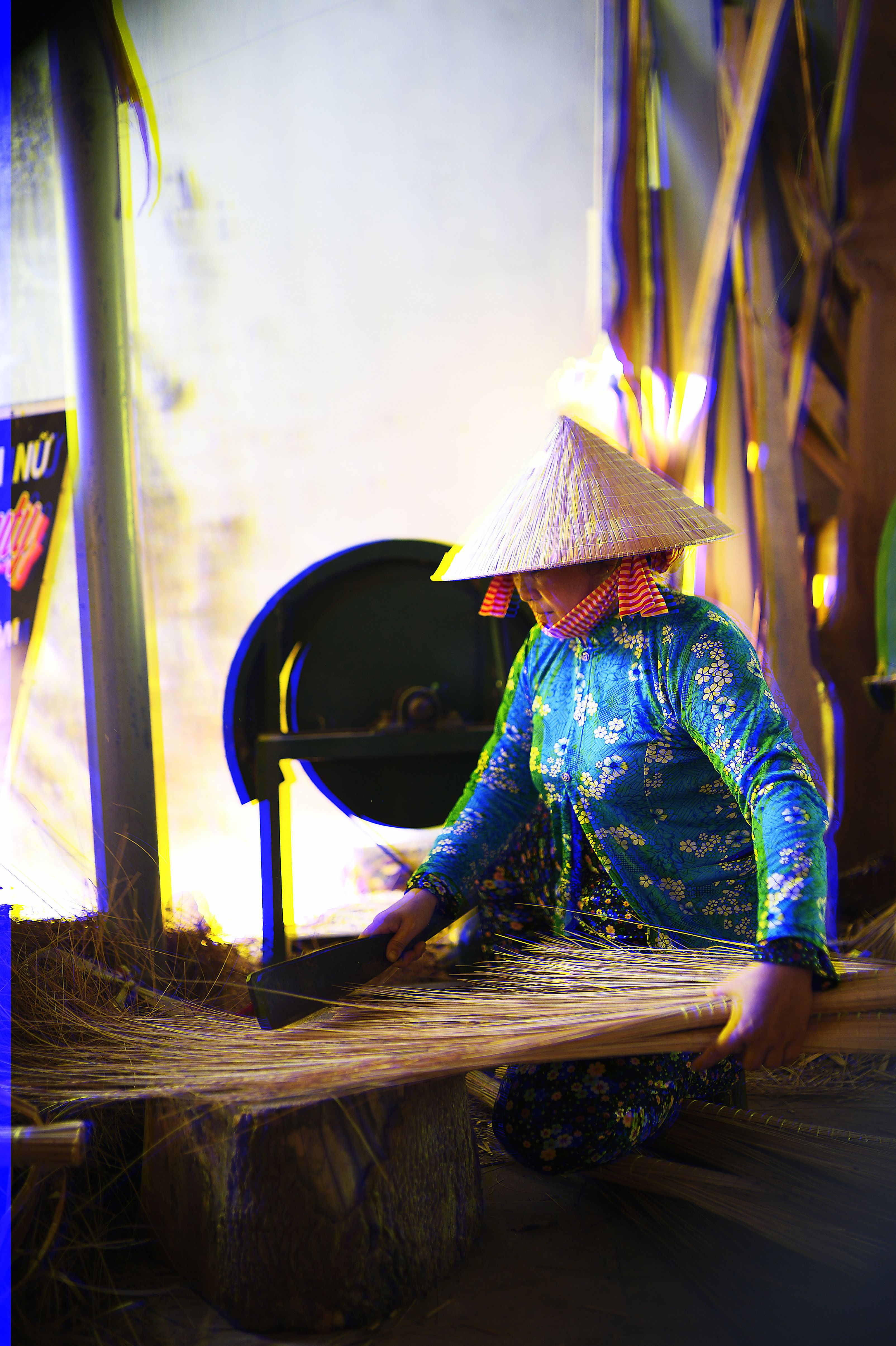 Vietnam - Proyecto de Adaptación al Cambio Climático en el Delta del Mekong en las Provincias de Ben Tre y Tra Vinh (AMD) - Abril de 2023