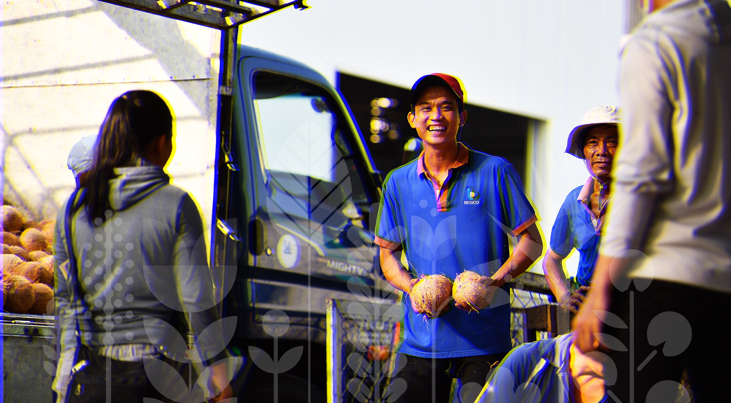 La empresa Ben Tre Coconut Investment Joint Stock Company recibió un préstamo que le permitió ampliar sus operaciones y crear oportunidades generadoras de ingresos para los productores de coco locales.