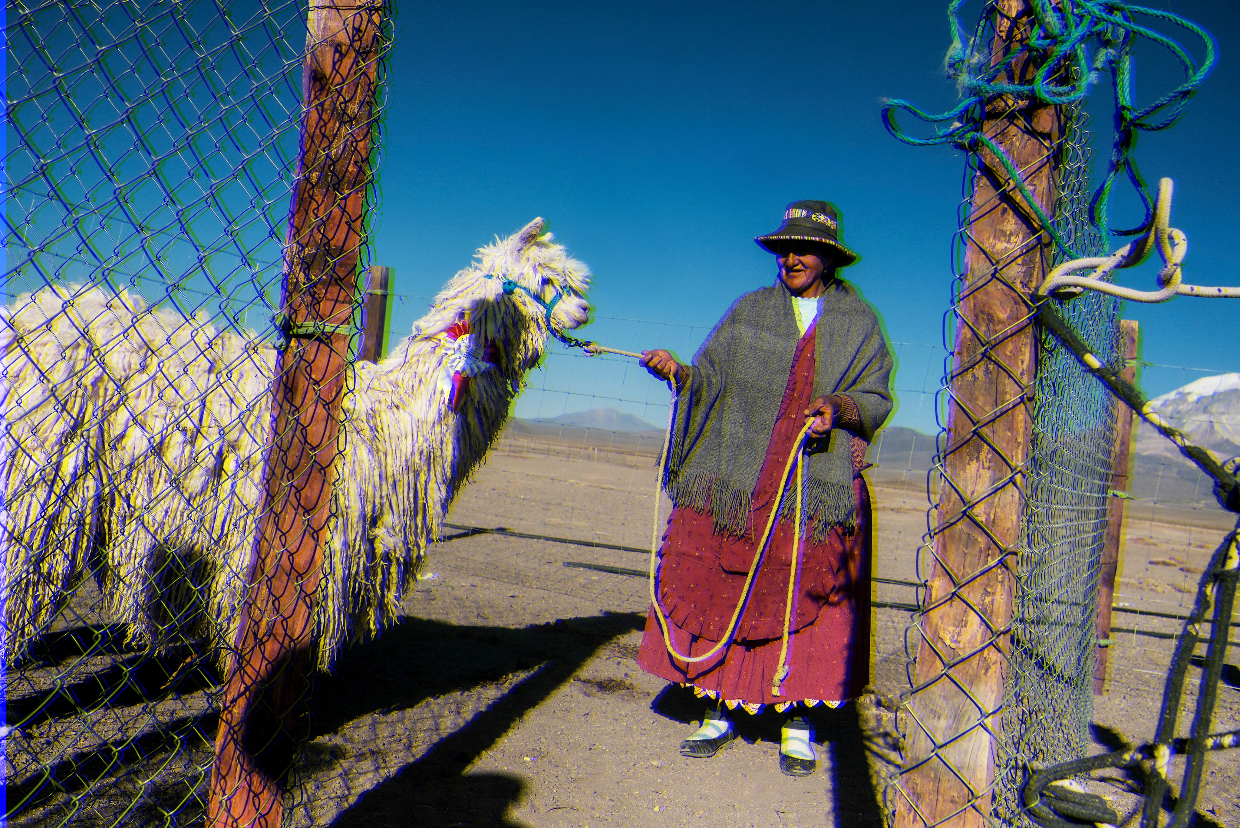 Bolivia - Programa de Fortalecimiento Integral de la Cadena de Valor de los Camélidos en el Altiplano Boliviano (Pro-Camélidos) - Octubre de 2