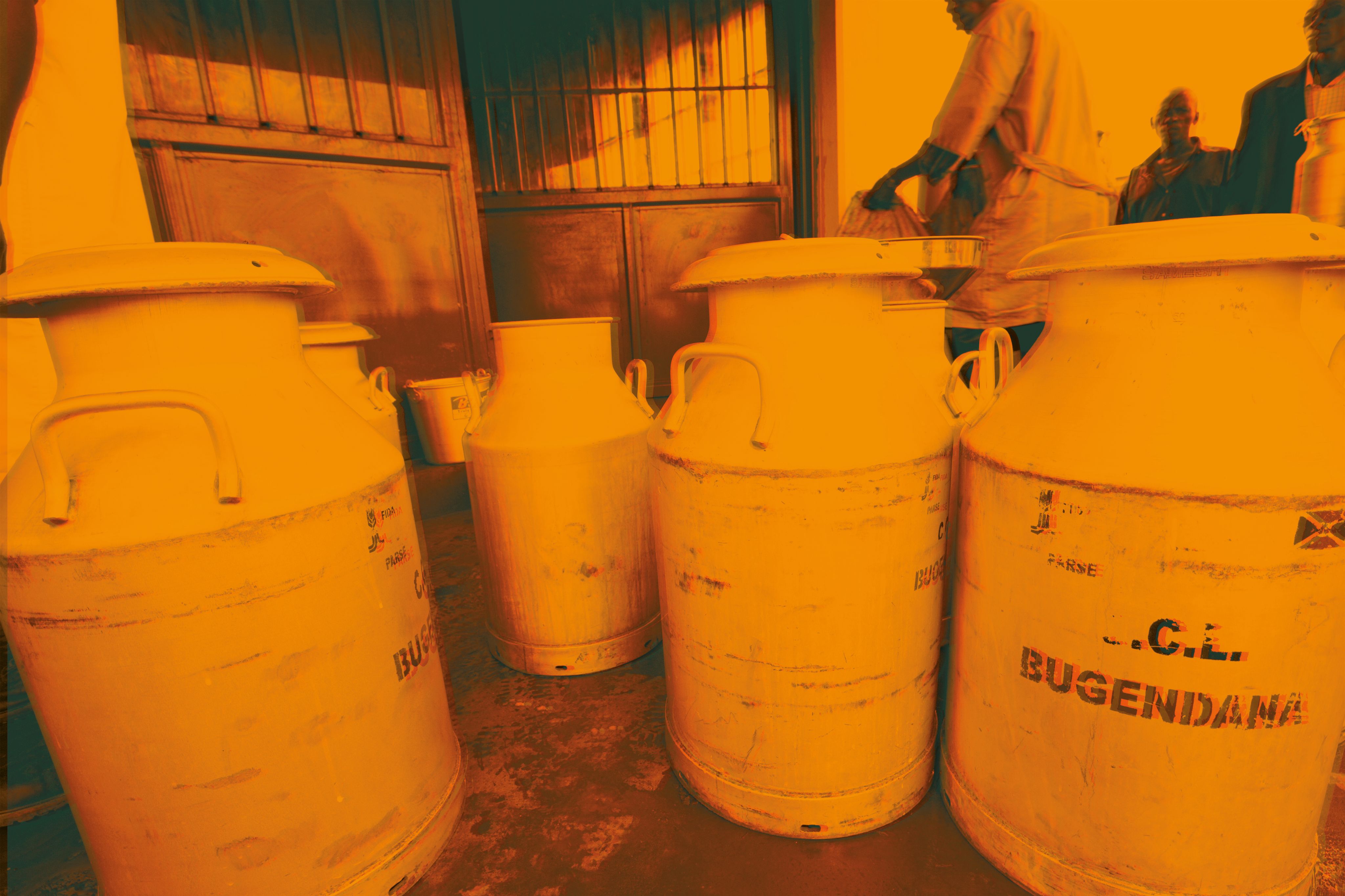 Burundi - Proyecto de Intensificación Agrícola y Apoyo al Valor Añadido