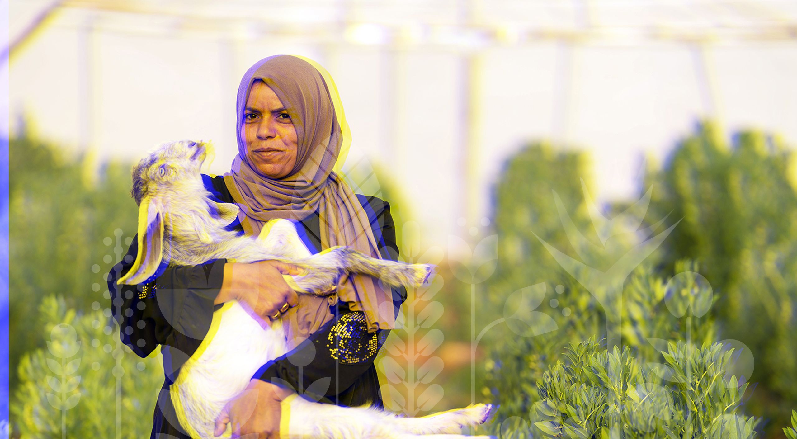 Muneira Ali Awad, con una de las cabras que compró con un préstamo, aspira a ser autosuficiente y cultiva alimentos para ella y sus tres hijos en su invernadero.