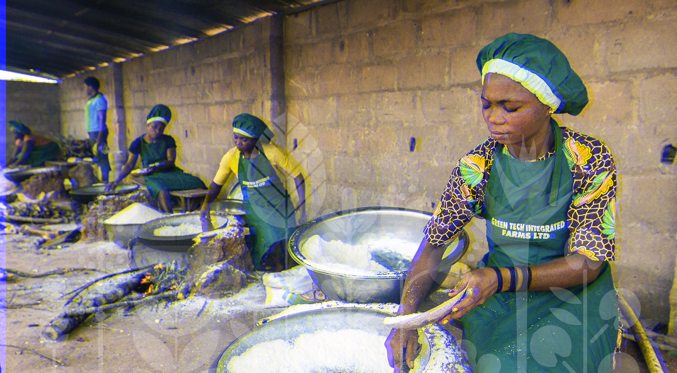 L’utilisation de variétés de manioc améliorées a permis d’obtenir de meilleures récoltes et d’augmenter les recettes, qui pourront être investies pour accroître la capacité de production afin de bâtir un avenir plus sûr pour la communauté.