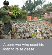 Diversifying microcredit services for poor rural people in China