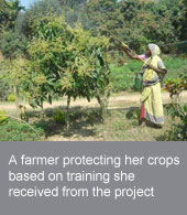 IFAD’s experience in microfinance in Bangladesh