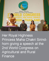 Rural financial system in Thailand: the Bank for Agriculture and Agricultural Cooperatives