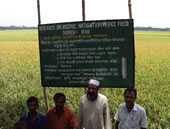 Research to mitigate the uptake of arsenic by rice in Bangladesh