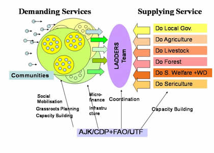 Ifad Organizational Chart