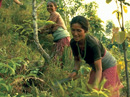 Project highlights: Leases on degraded forests help reduce poverty in Nepal