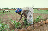 Burkina Faso