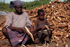 Regional initiative workshop on cassava processing and marketing