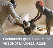 Niger: grain banks to prevent and manage acute food crisis