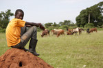 Uganda: Creating finance and credit facilities for rural youth 