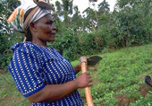 Special feature on land tenure: securing land for the future