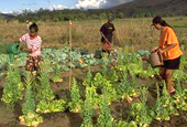 New project to secure land tenure in Madagascar