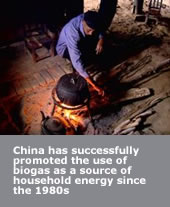 Biogas as a source of household energy