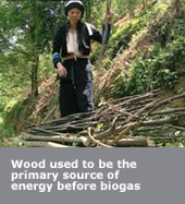 Wood used as primary sosurce of energy before biogas