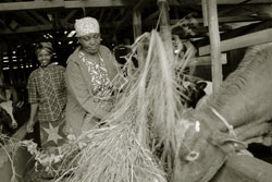 Magdalena Lema has a mobile phone and Internet access, but she still lacks market information.