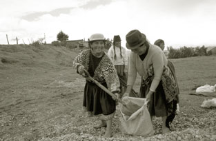 An NGO in Ecuador worked with the Government to ensure rural poor people could benefit from land funds to purchase land