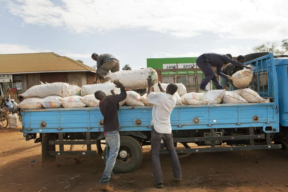 Workers load bags of potatoes on a truck in the Nanjiri Market in Malawi. IFAD-supported projects in the country focus on promoting sustainable agricultural practices and connecting smallholder farmers with the private sector.  Photo: IFAD