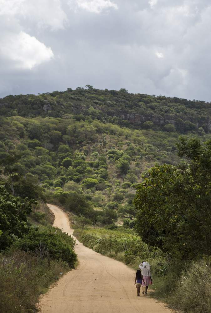 A grandmother and granddaughter walk along a rural road from Aldeia Segredo Velho, near Ribeira do Pombal, in the state of Bahia, Brazil. ©IFAD